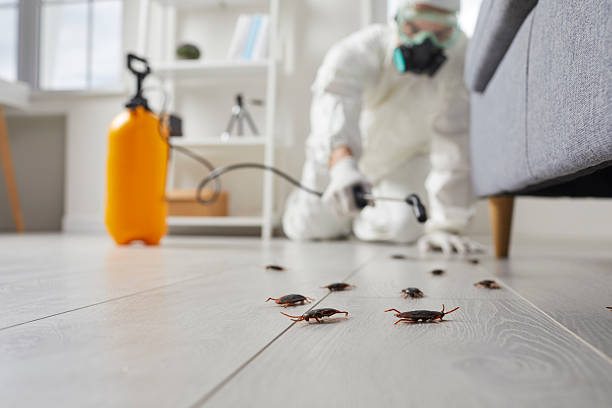 Commercial Kitchen Cockroach Control in Sweetwater